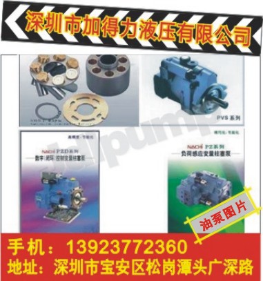 PVS-2B-45N3-20ͱþSޙzy