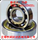oaһ(j)̬F(xin)؛(yng)  NSK 633ZZ
