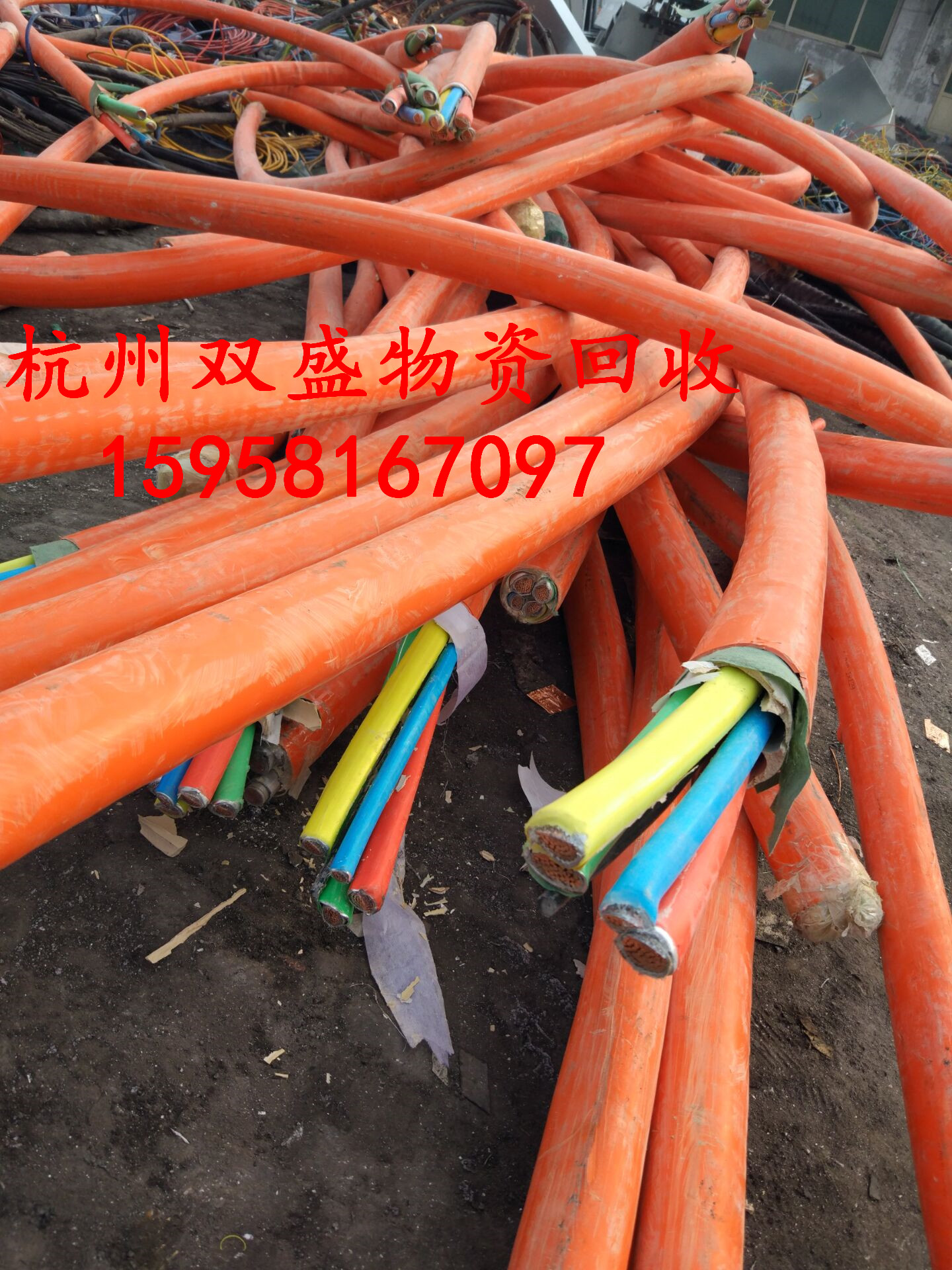 Ҧ廯䇙CM
