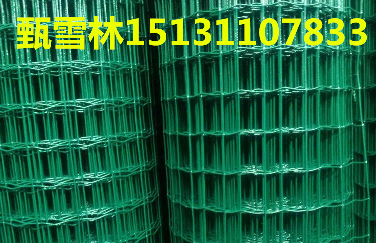 T{1.5׸30LɾmWȫl؛ȦغmWُr