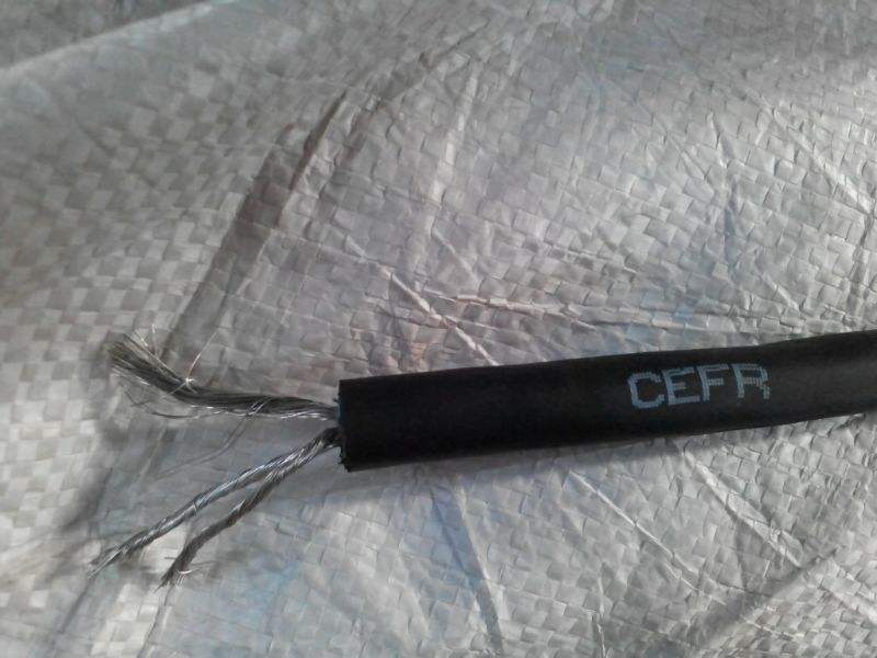 ʯƽ_|̖ CEFR|