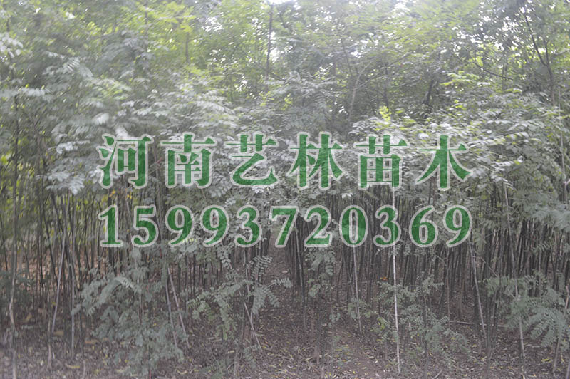 Ͳ(sh)(bo)r(ji)_Ͳ9-10-11(sh)ԃr(ji)
