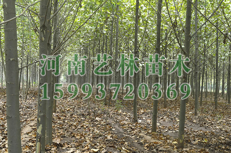 ^㻨_^5-6-7㻨r(ji)񅢿