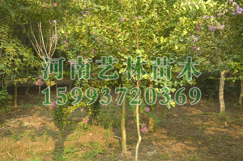 ƽ(gu)_ƽ3-4-5և(gu)a(chn)؃r(ji)