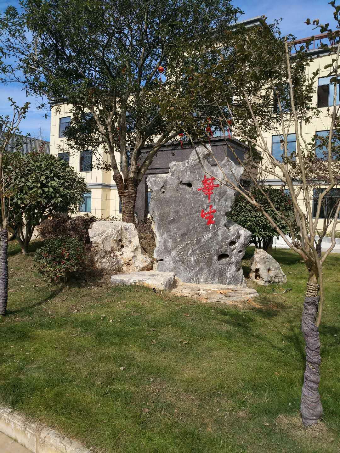 亸CSЩ