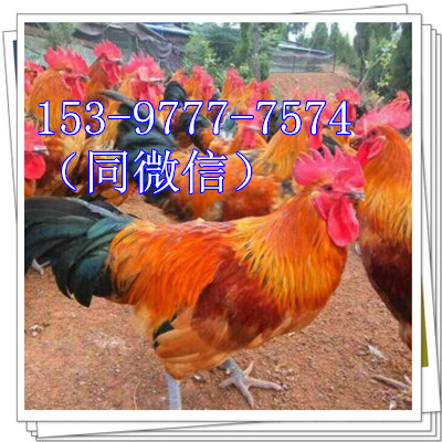 `_uSN_u