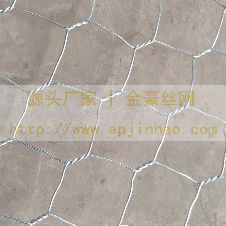 ӵʯ\W(wng) ʯ\W(wng)| Zo(h)|