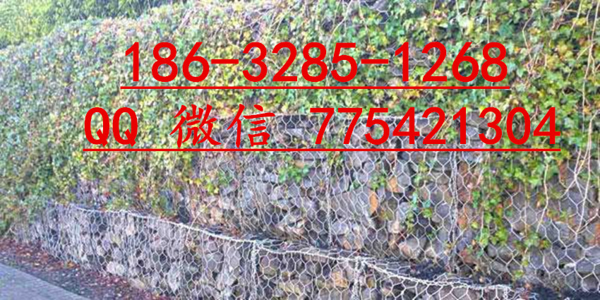 ոeʯ\W(wng) ոeW(wng)S eW(wng)SֱN