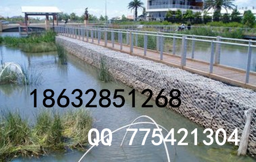 ʯ\W(wng)SֱN ʯ\W(wng)I(y)a(chn)S