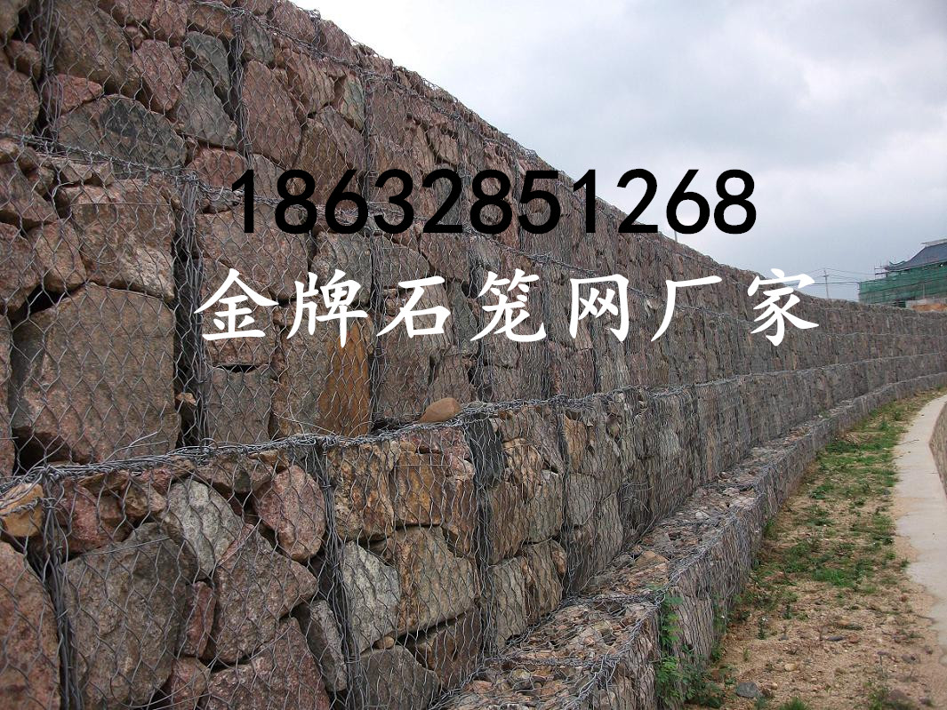B(ti)ʯ\W(wng) ӱʯ\W(wng)S