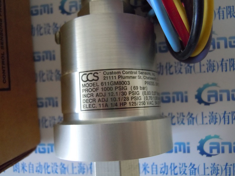 CCS_P