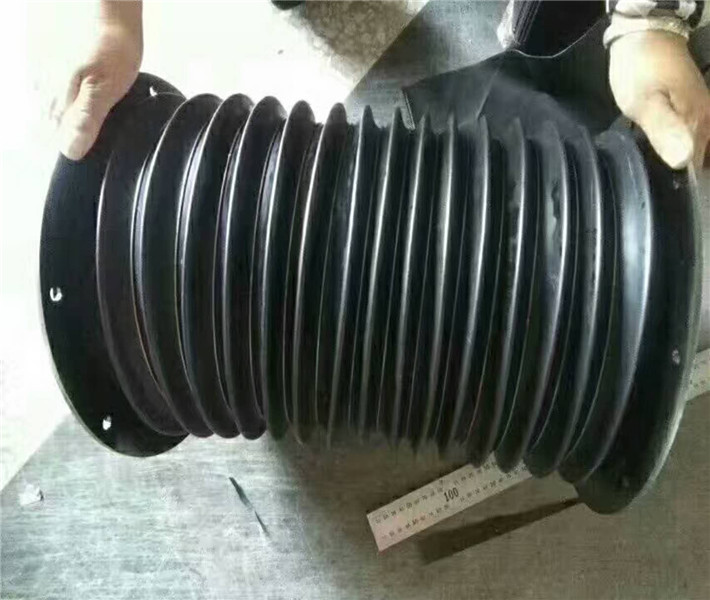 ͸ߜ͸ױo͸ױo