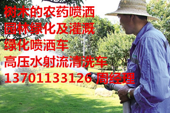 ShlWɈ@־Gľˎ137һ0113һ3126