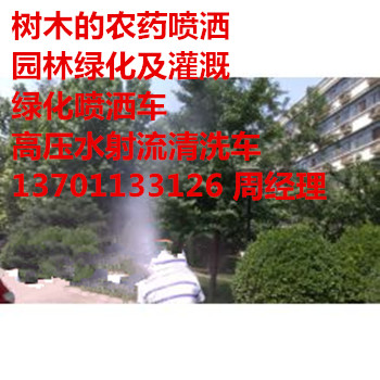 xϷŭhl͏SGˎ137һ0113һ3126