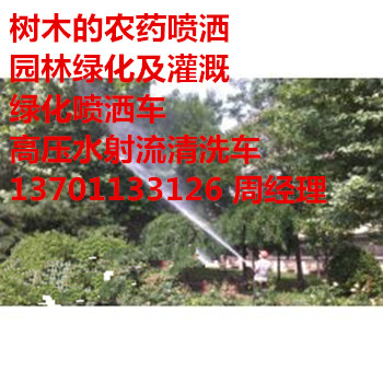 T^ϴhlyоGˮ137һ0113һ3126