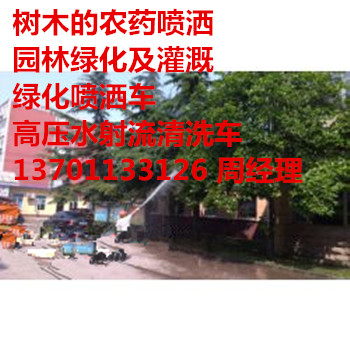 S_lhlP䓍ͤľrˎ137һ0113һ3126