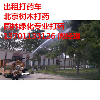 ӑchl췿Gˎ137һ0113һ3126