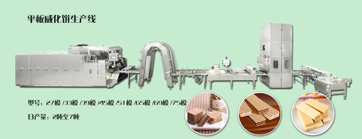 ȫԄ(dng)a(chn) Wafer Biscuit Processing Line