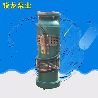 qsp10-13-0.75kw直供多種鑄鐵不銹鋼規格電動潛水景觀泵 質量可