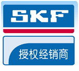 SKFS6004-2Z