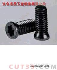 (yng)12.9÷^ݽzu