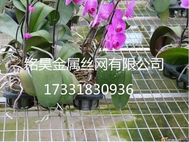 Ƅ紲c̶紲ʲôͬ