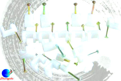 \늾