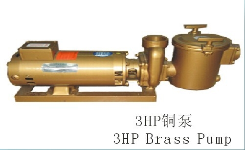 ܎3HP~