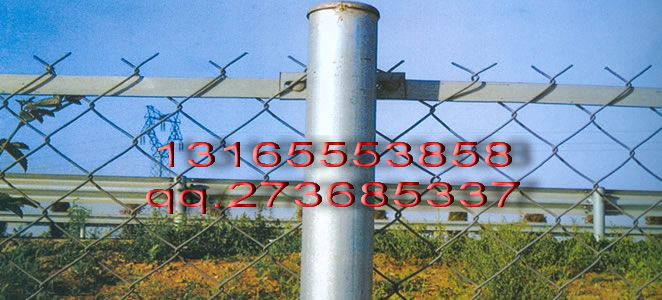 W(wng)|W(wng)S|W(wng)r|W(wng)Ҏ(gu)
