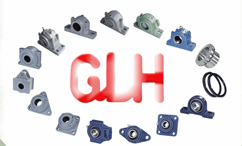 CSo CSж GLHS
