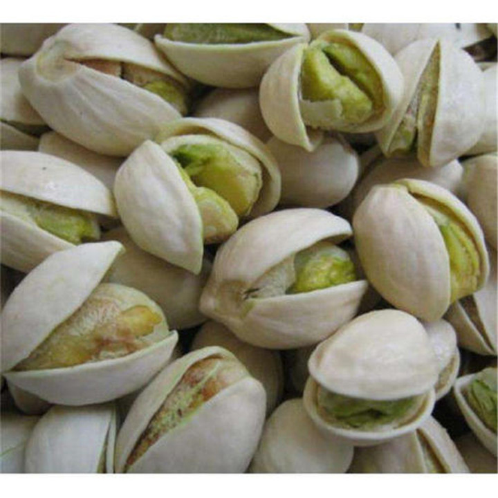 ֱN_Ĺ磬ƷNPistachio_Ĺ磬؛Դ