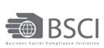 悽BSCISo}BSCIS˾ɿ_С㹩