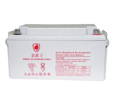 ʿ늳PW65-12 12V65AH/10HR UPS/ֱ So(h)U
