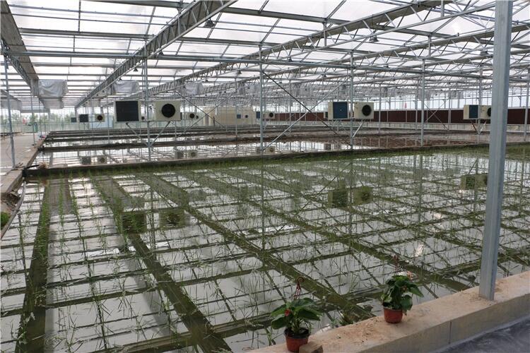 山東溫室蔬菜大棚骨架