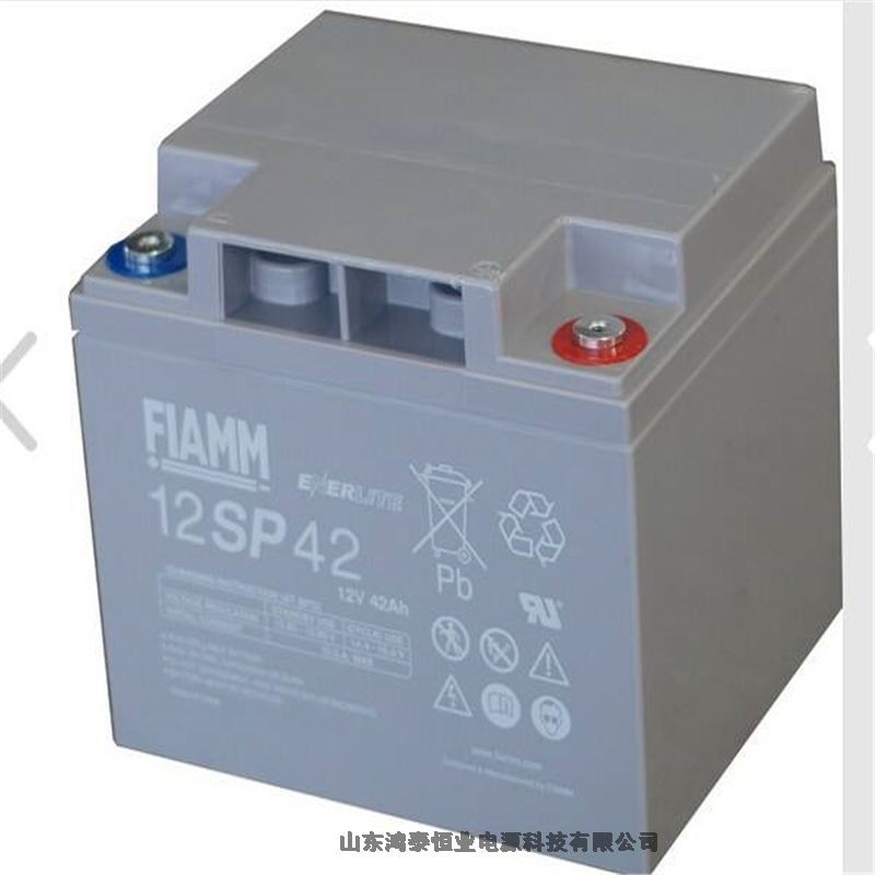 ǷFIAMMU늳FG21703 12V17AHԭbF(xin)؛