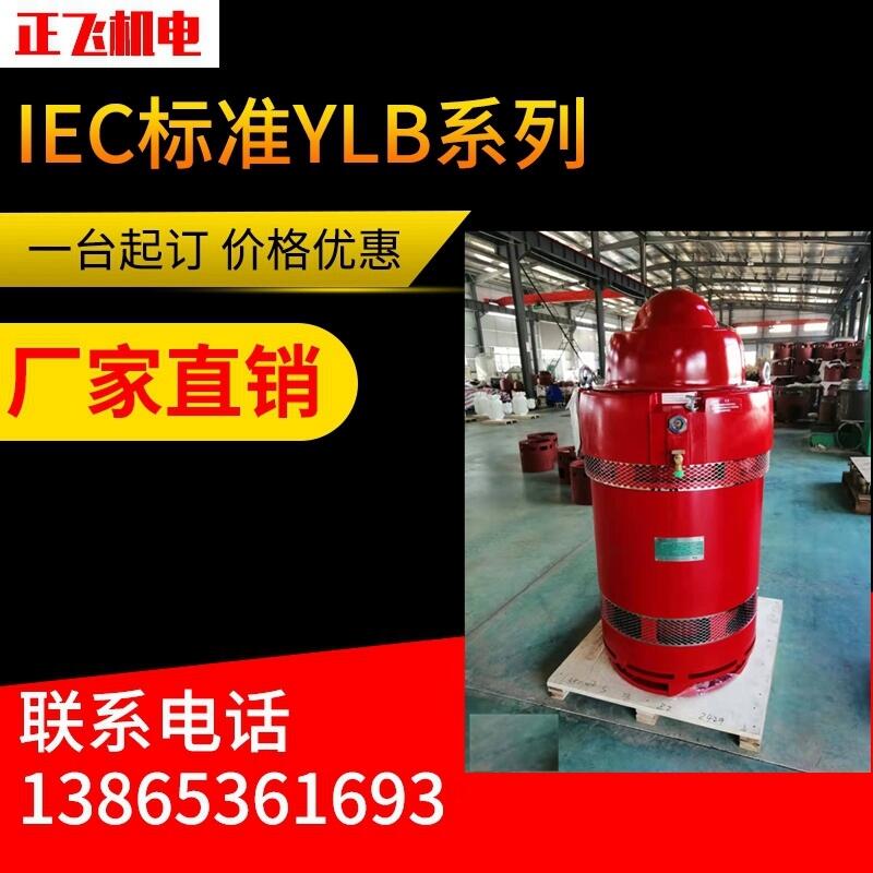 YLB늙C(j)ylb250-2-4 75KW LS늙C(j) SֱN