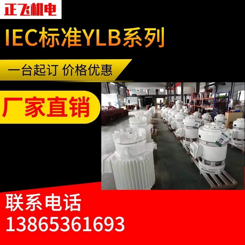 YLB늙C(j)ylb250-1-4 55KW LS늙C(j) SֱN