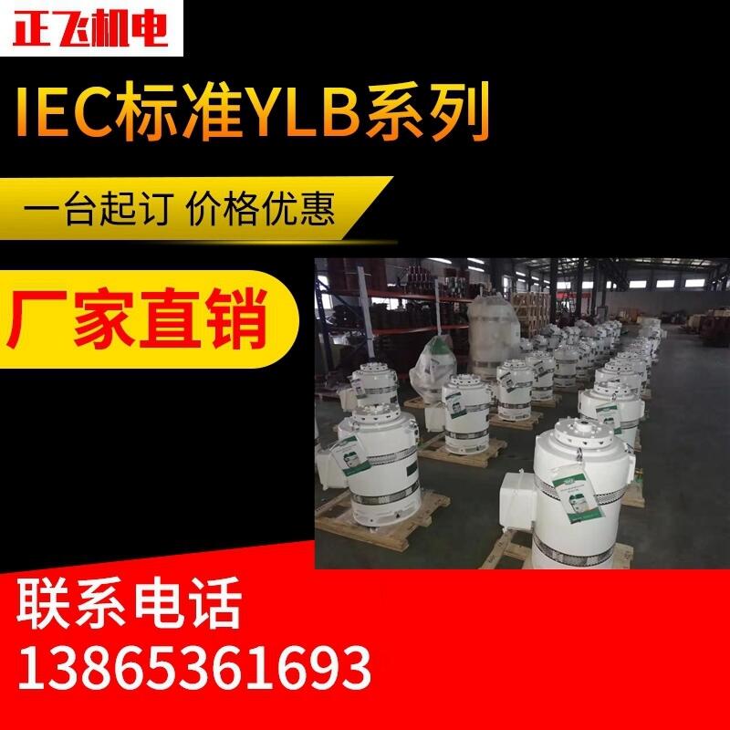 YLB늙C(j)ylb200-2-4 37KW LS늙C(j) SֱN