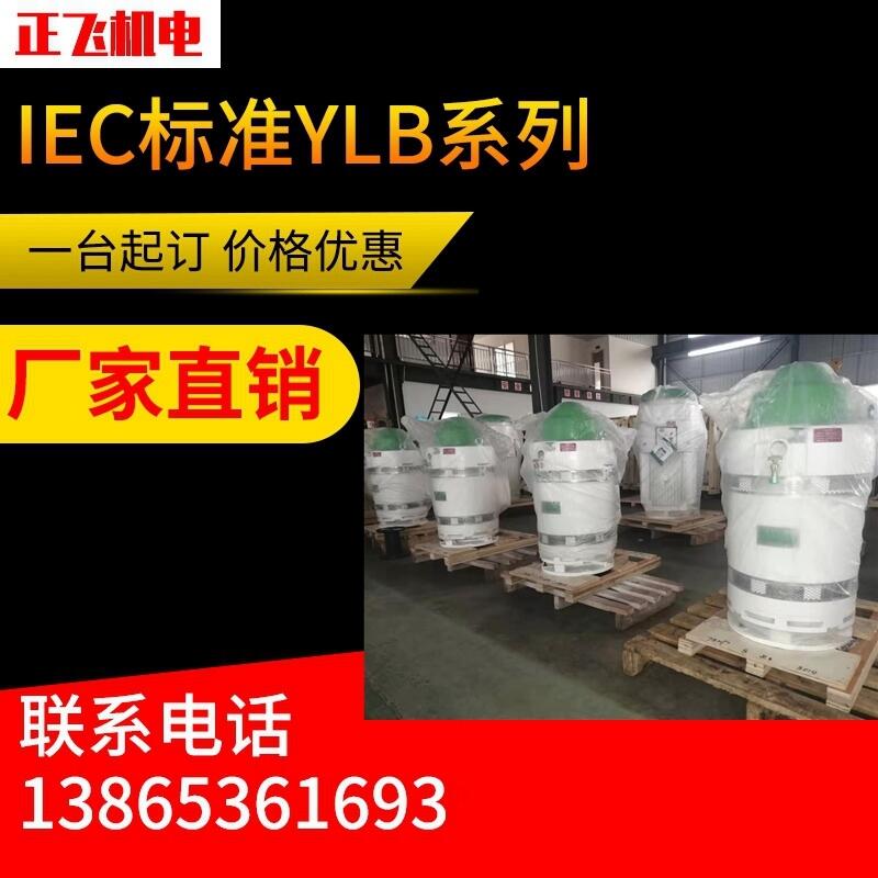YLB늙C(j)ylb200-1-4 30KW LS늙C(j) SֱN