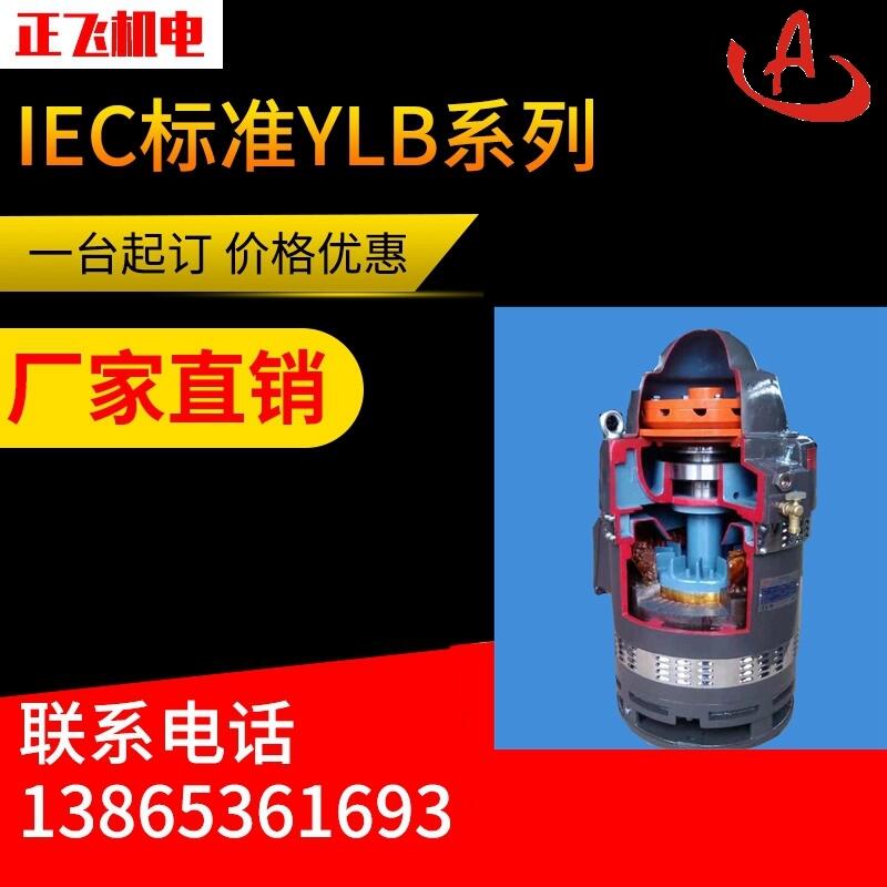 YLB늙C(j)ylb180-2-4 22KW LS늙C(j) SֱN