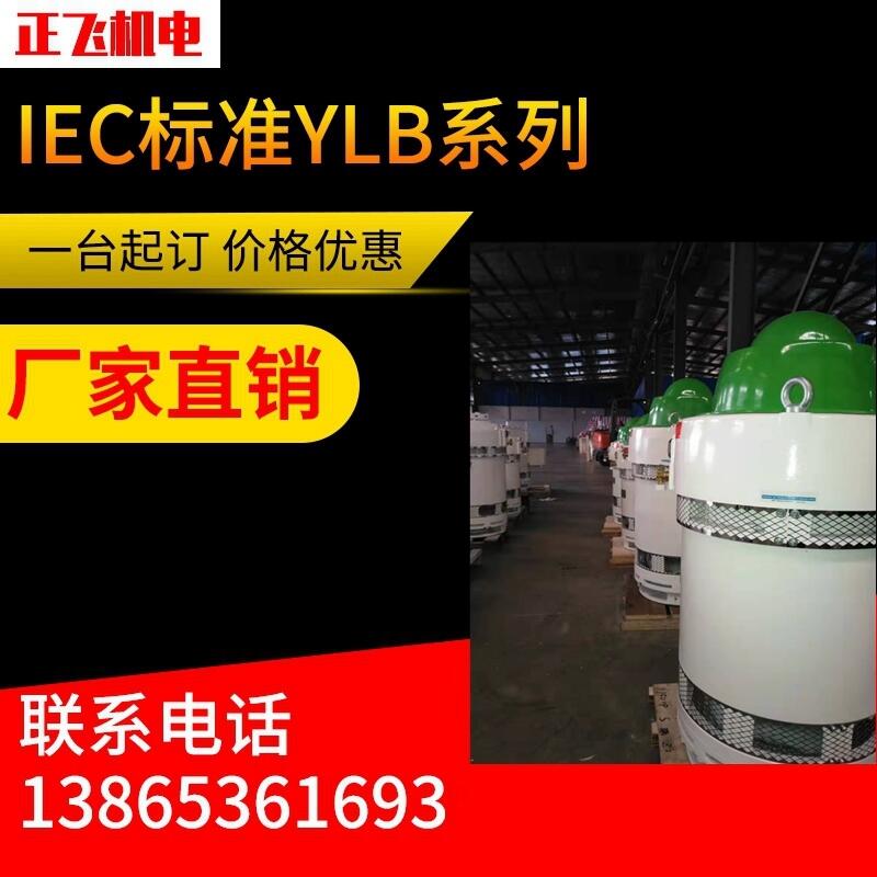 YLB늙C(j)ylb315-2-4 200KW LS늙C(j) SֱN