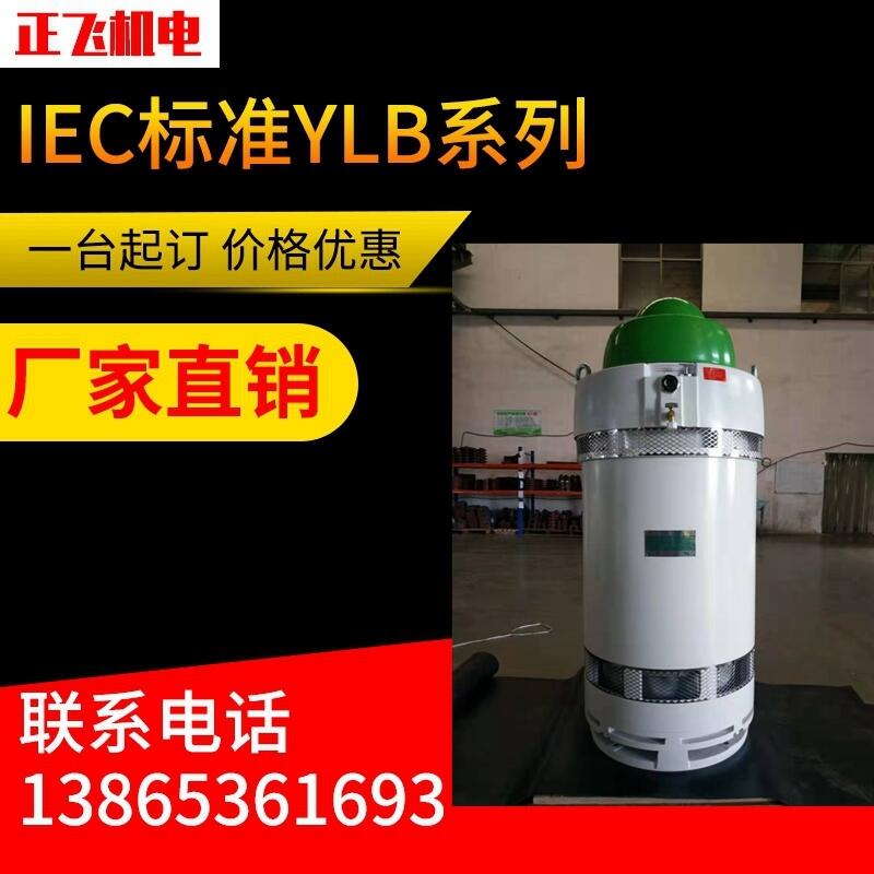 YLB늙C(j)ylb355-2-4 315KW LS늙C(j) SֱN