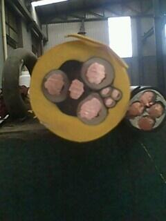 8.7/10KV߉(lin)|3*35 YJV22