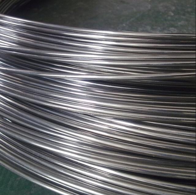 2020Hܼ|չ[TUBE&WIRE 2020