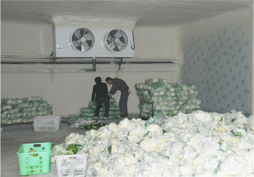 內蒙古保鮮庫安裝-內蒙優質冷庫建造