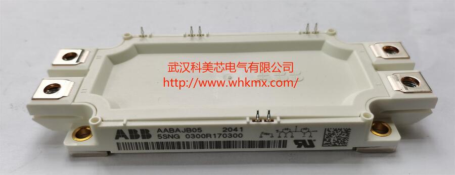ABBIGBTģK׃l5SNG300R170300