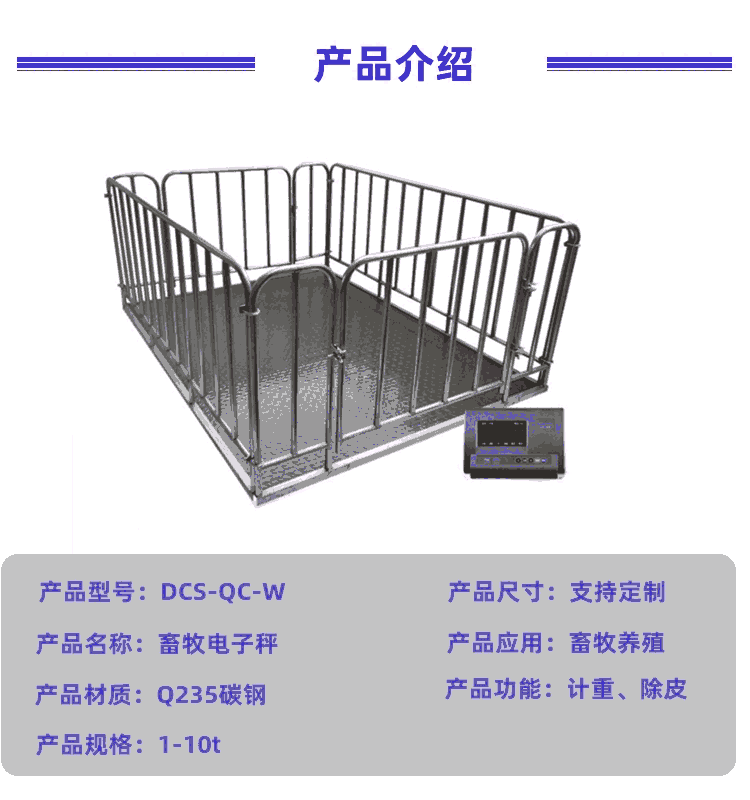 1000KG/200Gڵذ