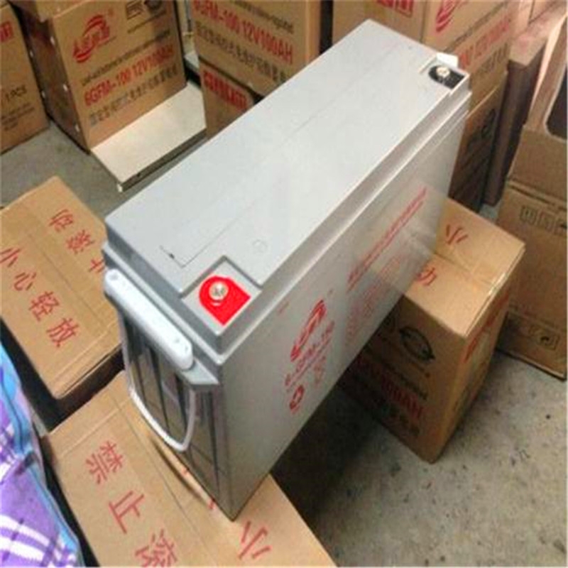 늳FPG100-12R/12V100AN̺\ur