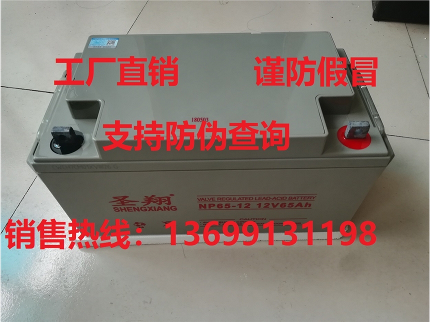 늳12V65AH NP65-12늳 ƷNPP늳12V65A