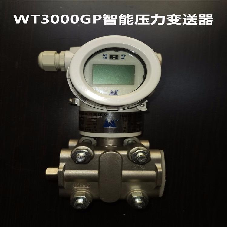 Ϻ̩WT3000GP܉׃